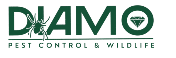 imgi 96 pest control wildlife 1 600x339